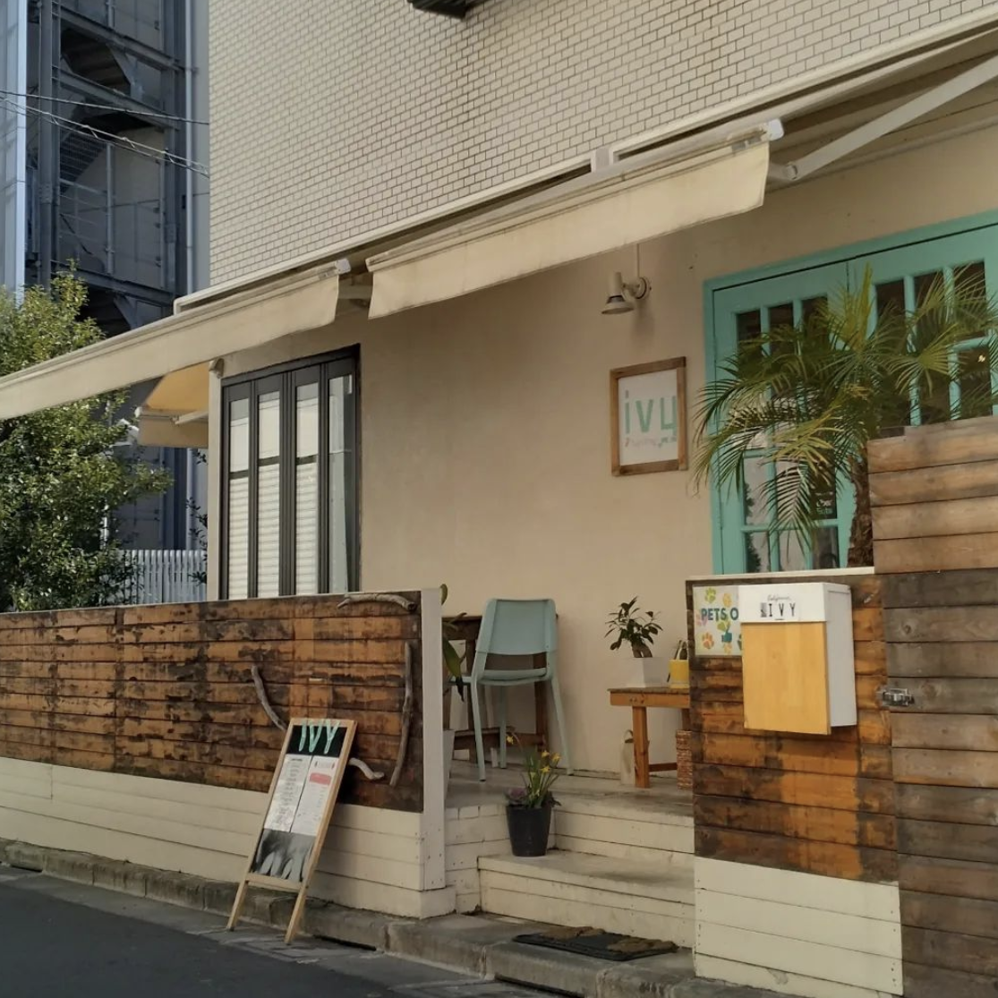 【代々木】明るく開放感あふれるドッグカフェ「ivy cafe & bar」